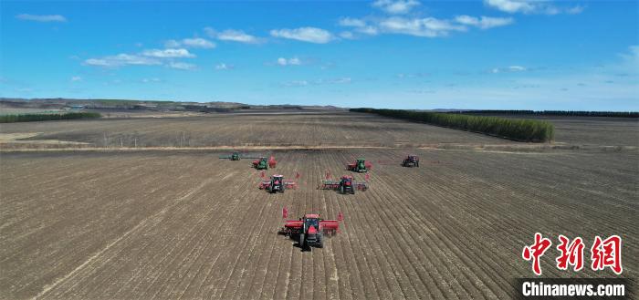 图为大豆播种现场。　黄艳双 摄