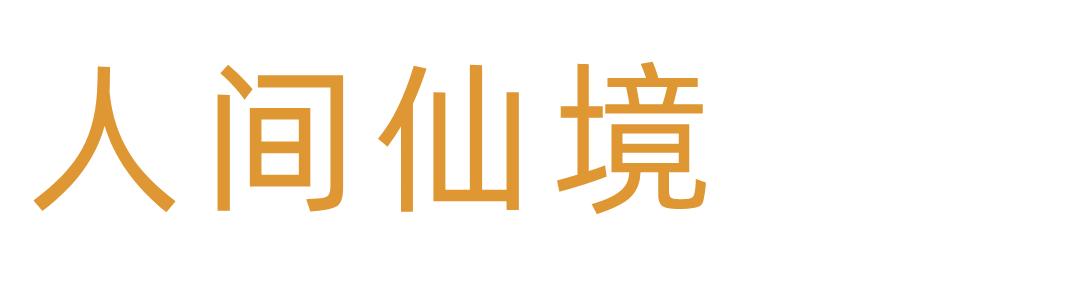 得天独厚的自然条件，造就了兴文独特而壮美的风光，只是一眼，便惊艳了万年。兴文石海景区是四川首家世界地质公园，集世界级规模的地表石海、天坑、地下溶洞三大喀斯特地质奇观于一体，三绝共生、世所罕见。1983年时任中共中央总书记胡耀邦重走长征路来到兴文，题词“天下奇观”。