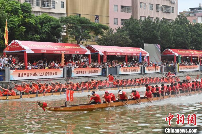 图为龙舟比赛中。　陈楚红 摄