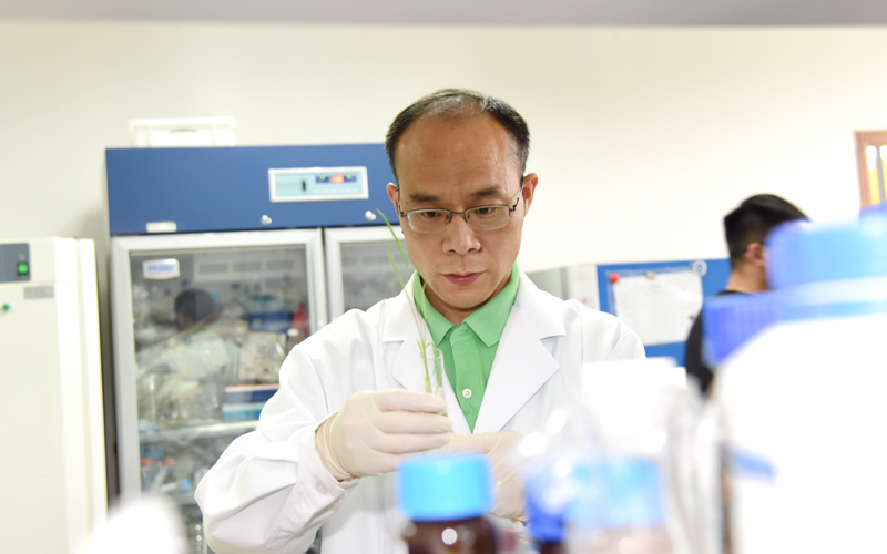 李国田教授在实验中。川竹摄