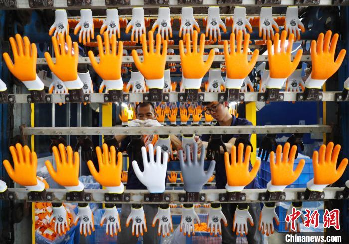 6月17日，在山东高密一家劳保手套生产企业，工人在生产线上忙碌。　张进刚 摄