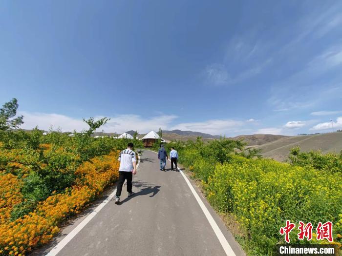 新疆吸引了众多游客前来感受着大自然的如画风景。　王小军 摄