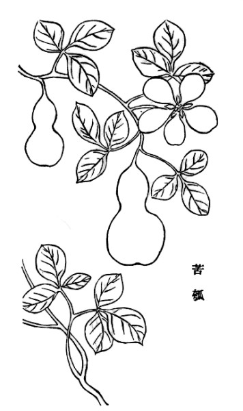 光明文化周末：瓠子