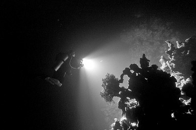 藏在海底的淡水