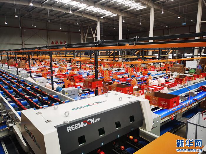 苹果自动化分拣车间（10月6日摄）。新华网发（鲁甸县融媒体中心 供图）