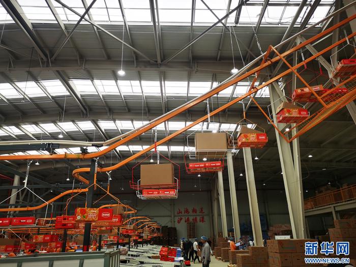 苹果分拣车间（10月6日摄）。新华网发（鲁甸县融媒体中心 供图）