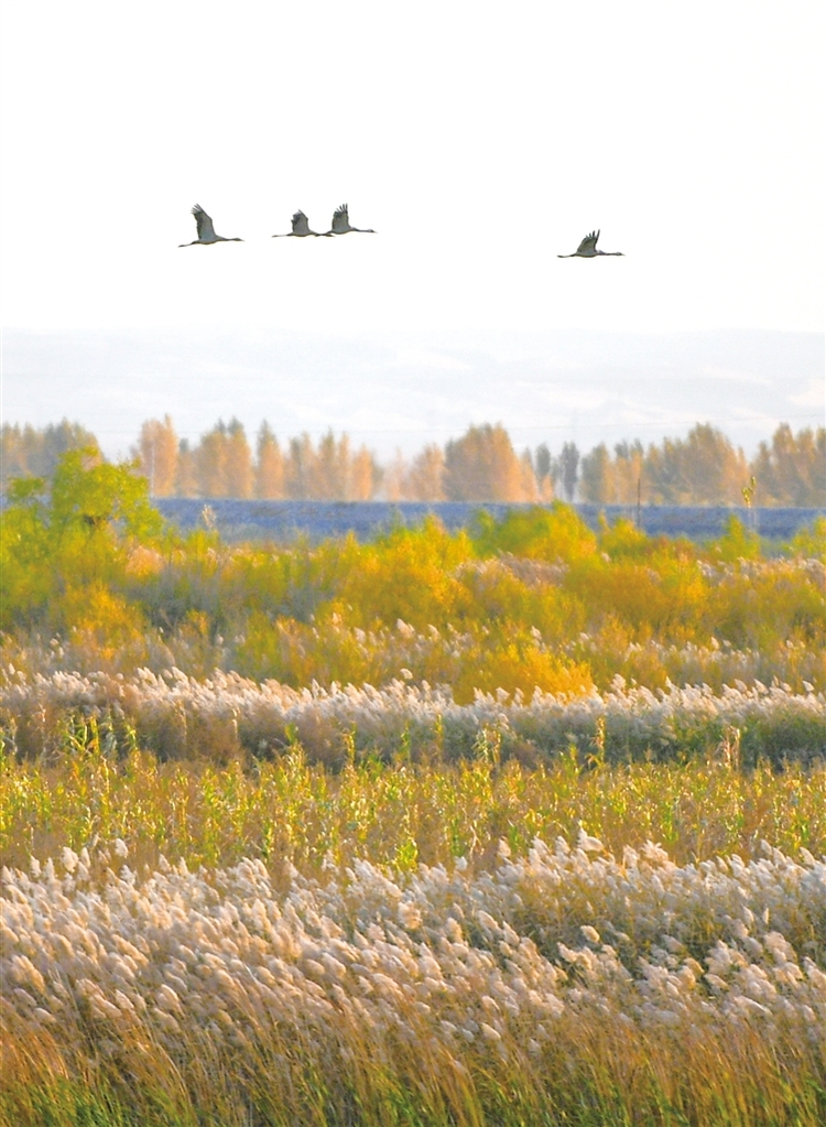 斑斓秋色入画来_fororder_3027475_jaj_1698042614691_s