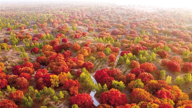 斑斓秋色入画来_fororder_3027473_jaj_1698042808066_s