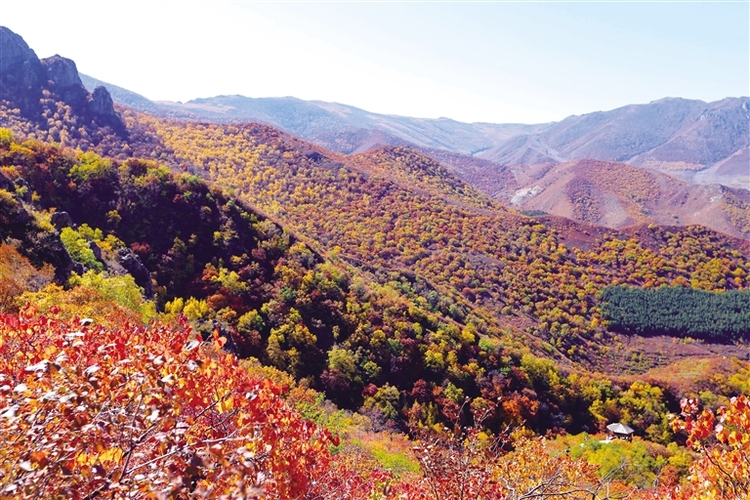 斑斓秋色入画来_fororder_3027721_jaj_1698047846686_s