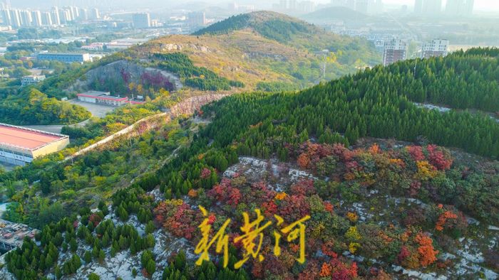 霜降时节，泉城满山红叶秋韵浓