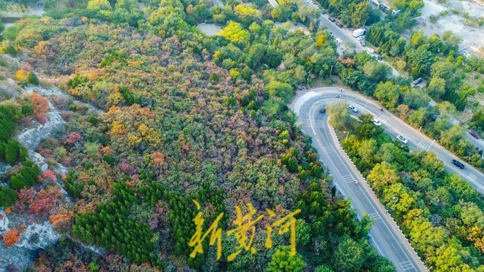 霜降时节，泉城满山红叶秋韵浓