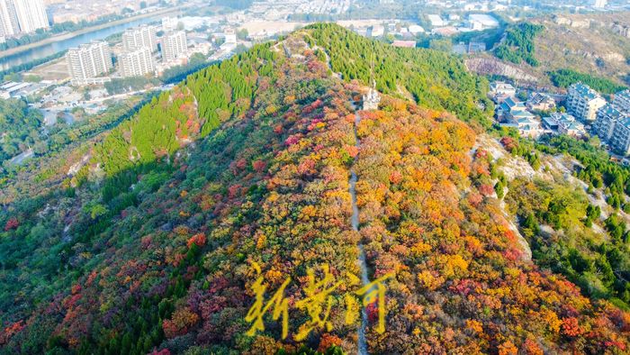 霜降时节，泉城满山红叶秋韵浓