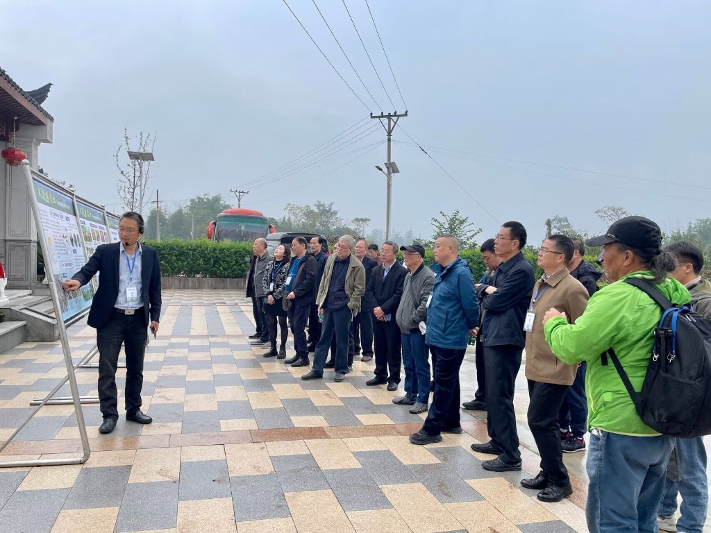 众多专家学者深入交流研讨。华龙网 汤莉 摄