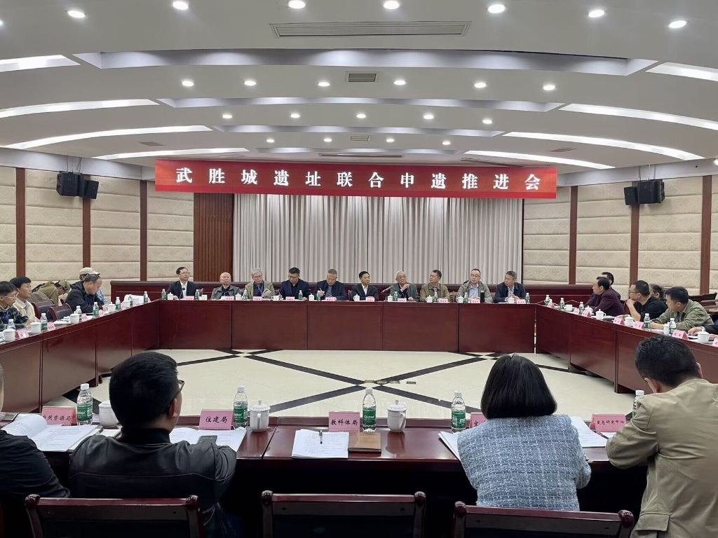 武胜城遗址联合申遗推进会召开。华龙网 汤莉 摄