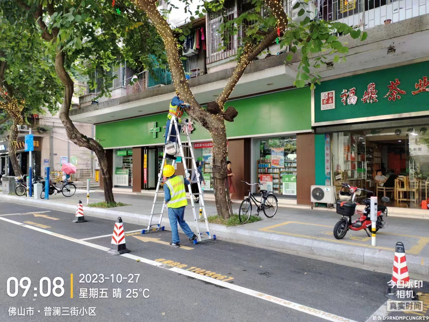 更换缠树星星灯