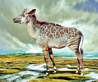 跨越时空，与远古生灵相遇——艺术助力古动物数字化复原及应用