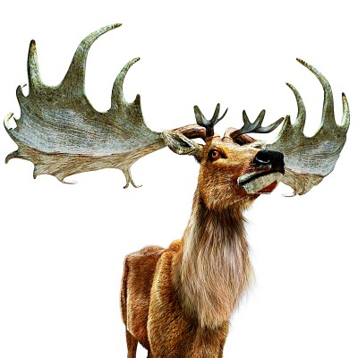 跨越时空，与远古生灵相遇——艺术助力古动物数字化复原及应用