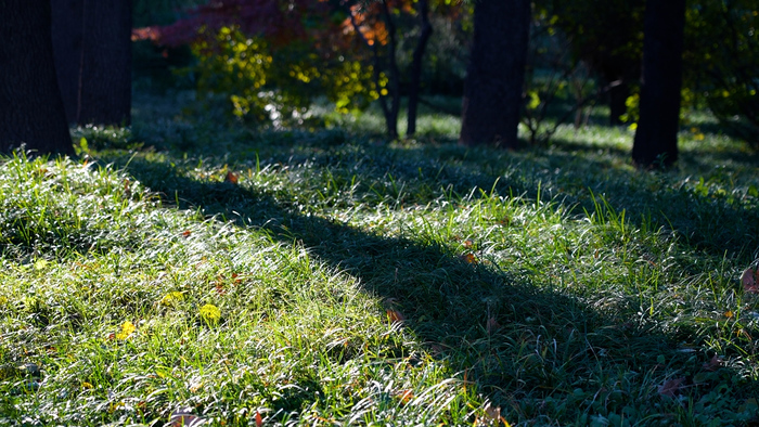 济南百花公园冬日别样美