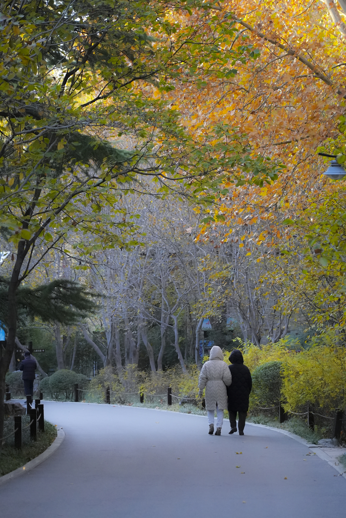 济南百花公园冬日别样美