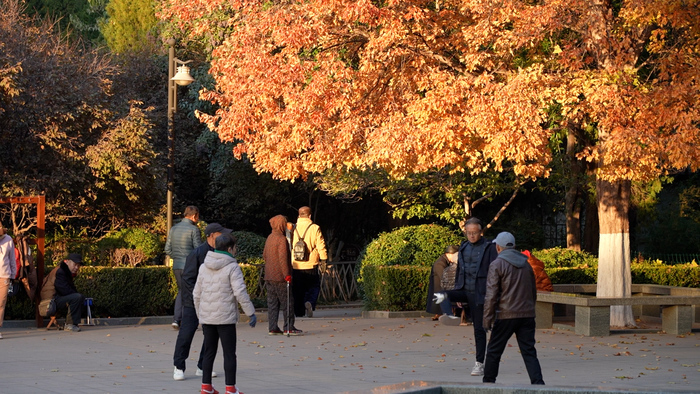 济南百花公园冬日别样美