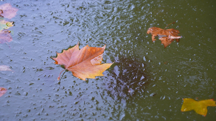 济南百花公园冬日别样美