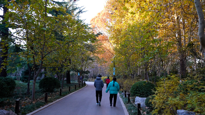 济南百花公园冬日别样美