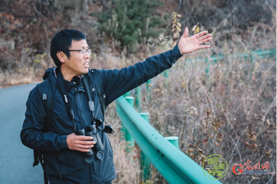 国家公园守护者丨17年林海雪原追虎记