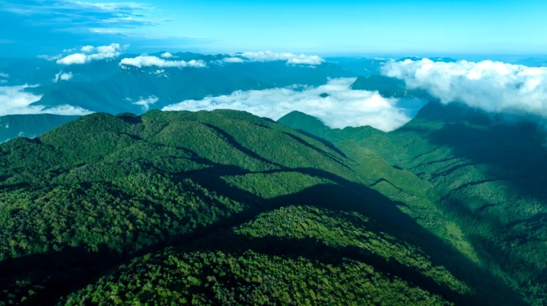 640_wx_fmt=png&from=appmsg&tp=webp&wxfrom=5&wx_lazy=1&wx_co=1.webp (1)