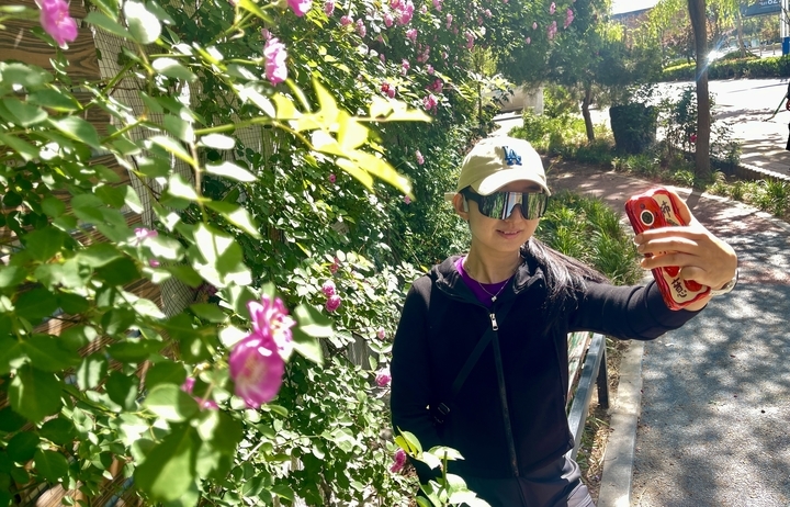 蔷薇盛开，打造济南街角的烂漫春色