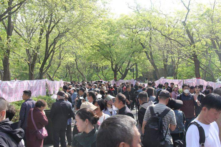 相亲大会、 传统吕剧、欢乐集市……千佛山“五一”游园会超全指南来啦