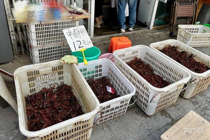 “中青”批发价12元/斤（央广网记者 顾炀威 摄）