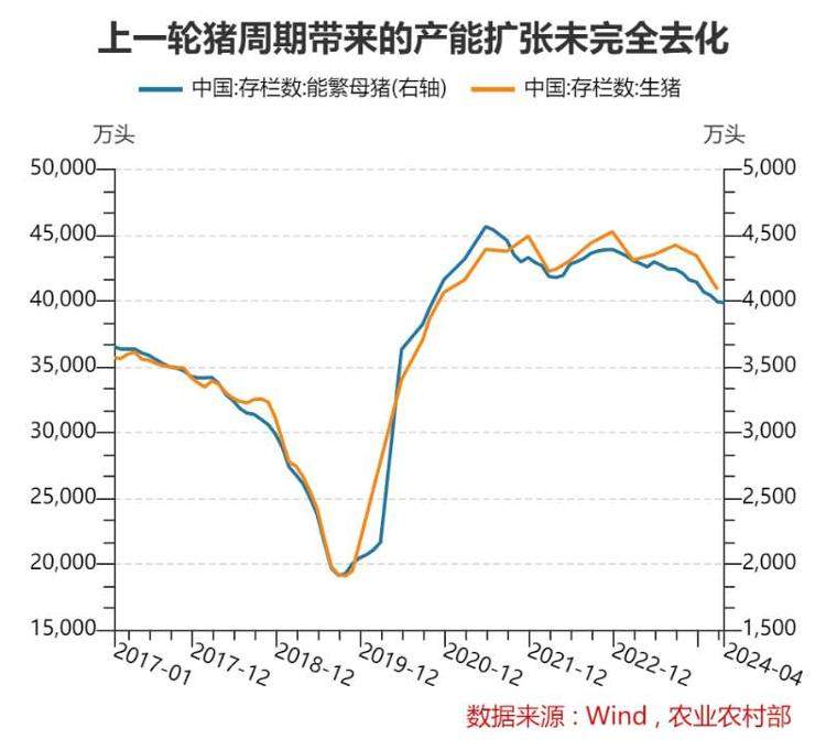 猪肉价格涨出新高，新一轮猪周期已开启？