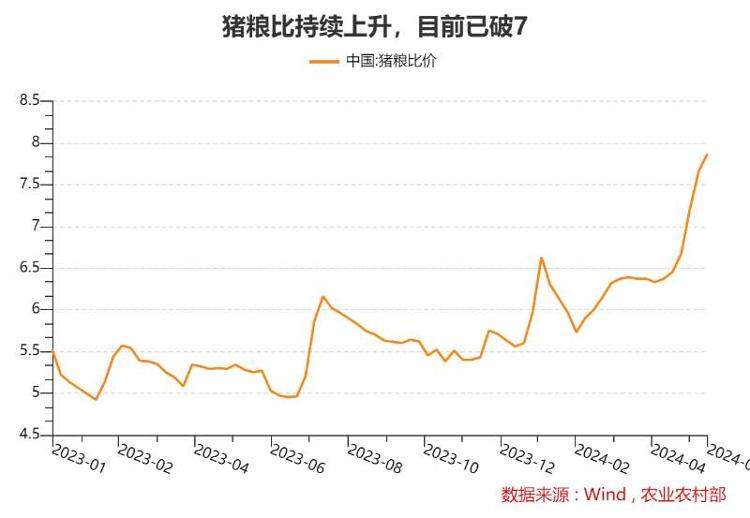 猪肉价格涨出新高，新一轮猪周期已开启？