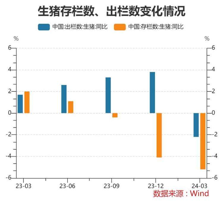 猪肉价格涨出新高，新一轮猪周期已开启？