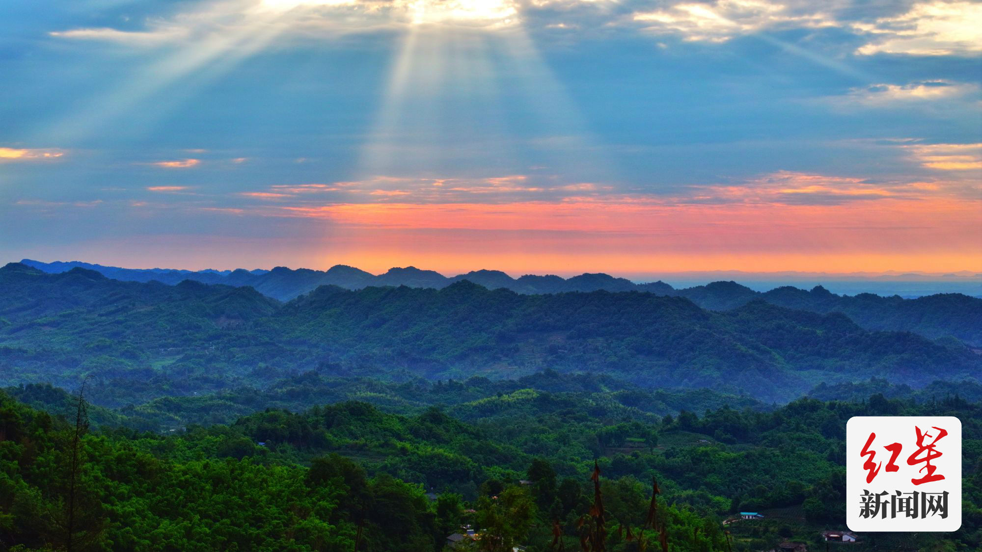 微信图片_20240702102720