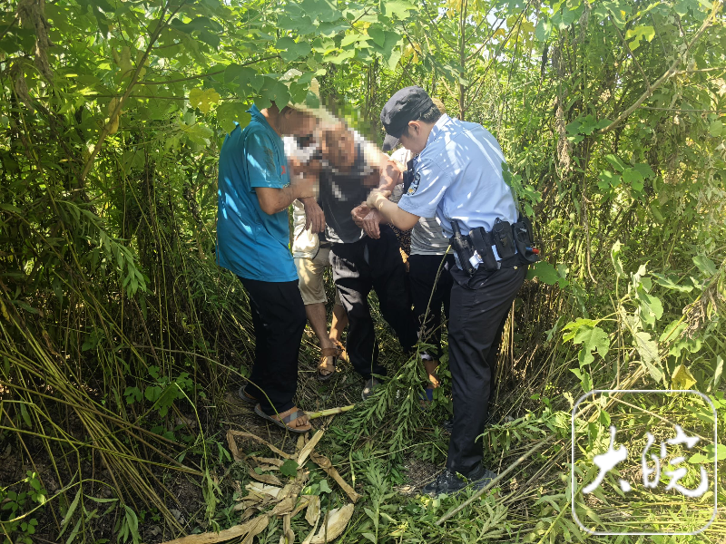 老人玉米地里中暑晕倒 民警用无人机搜救