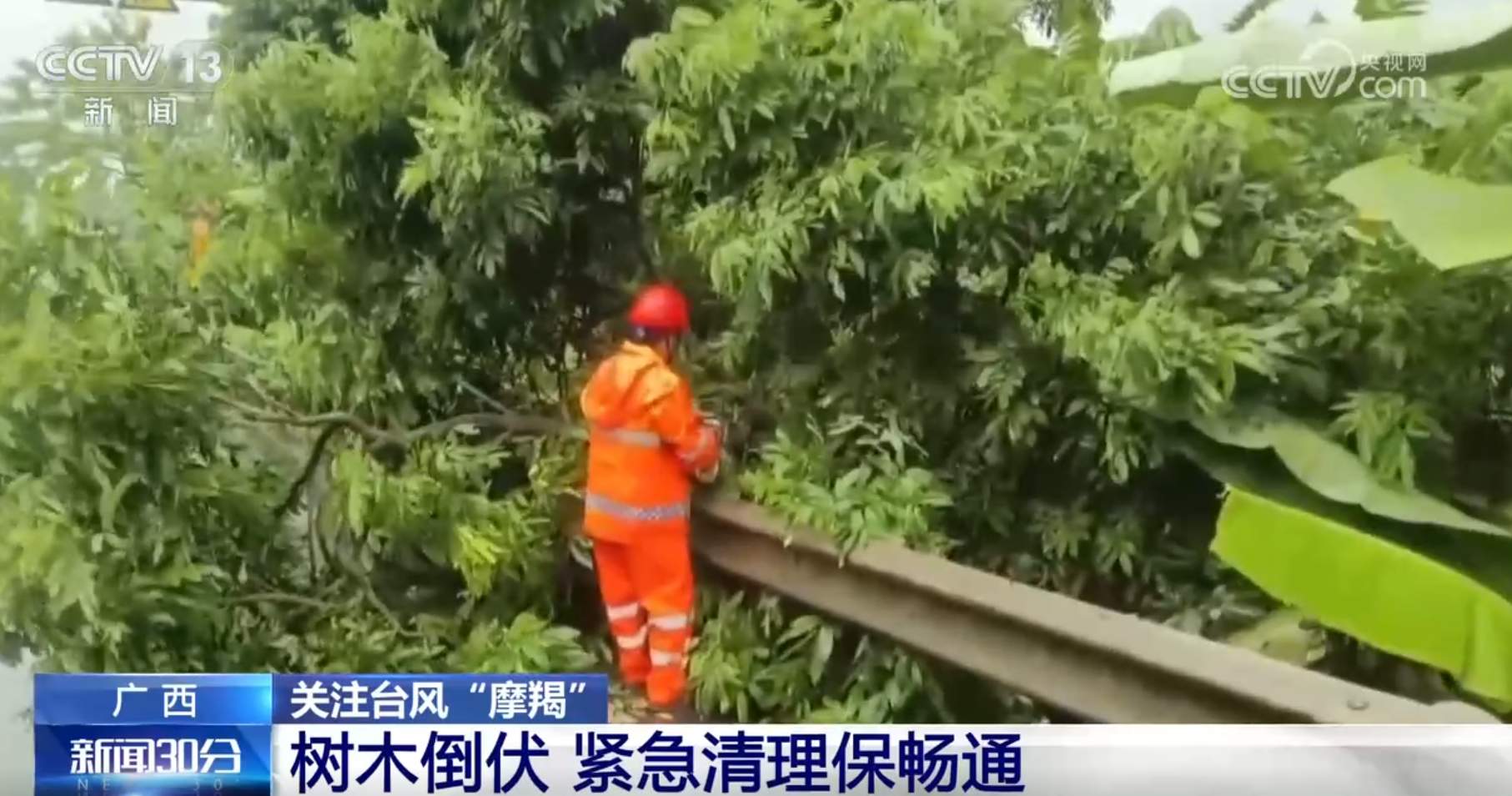 受台风“摩羯”影响省区灾后恢复工作抓紧进行 全力以赴保障基本民生