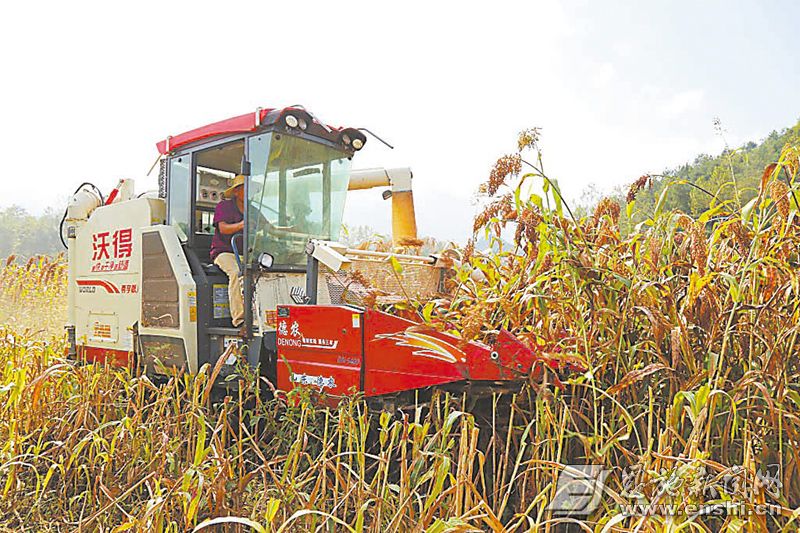 66f107e80cf26148d5e2d42d 拷贝