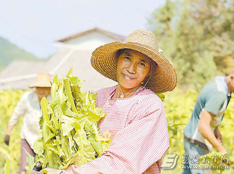 66f1078b0cf2c58fb492520e