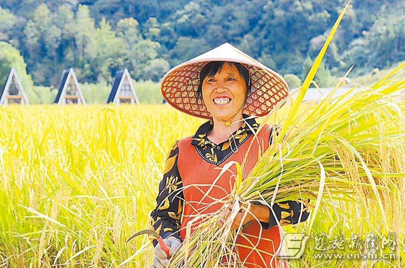 66f107670cf2c58fb492520b 拷贝