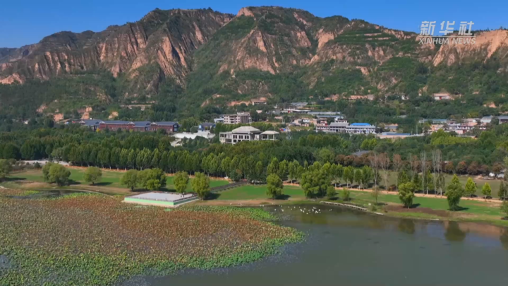 山西平陆黄河湿地迎来首批越冬大天鹅