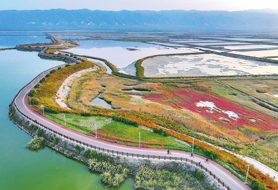 运城市盐湖区鸭子池湿地公园生态环境大大改善