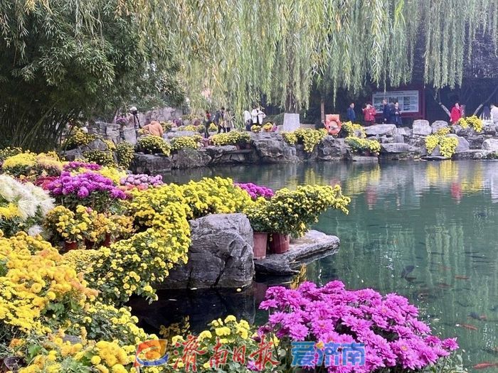 20℃难动摇！未来三天济南降雨仍持续，周末强冷空气来“速冻”