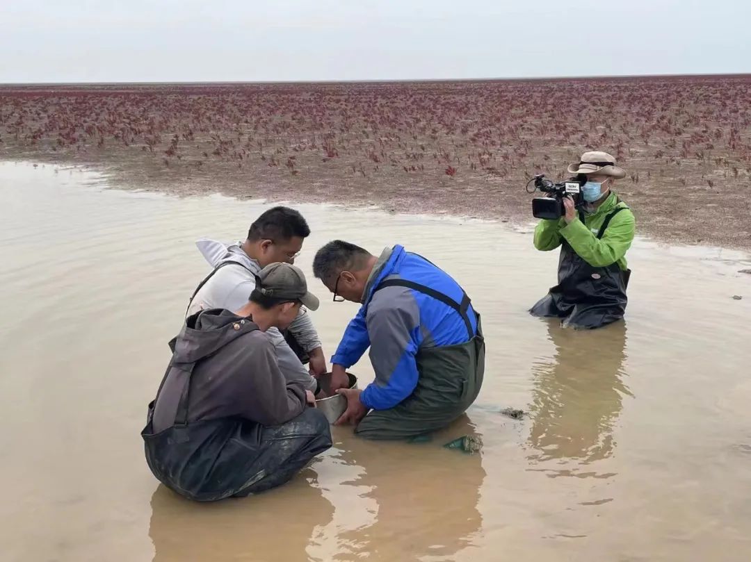 溯源而上 沿着母亲河看黄河流域生态治理修复