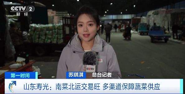 日交易量6000吨 山东寿光迎来“南菜北运”高峰期
