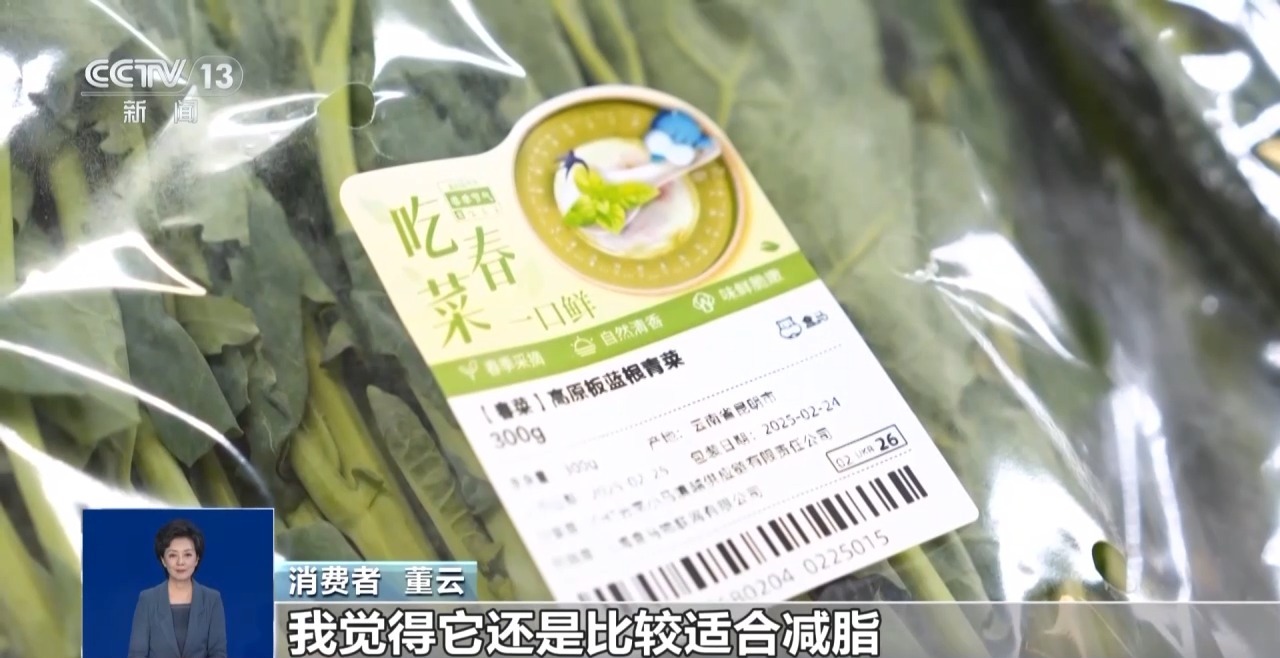 “板蓝根青菜”您吃过吗？它是菜还是药呢？来看揭秘