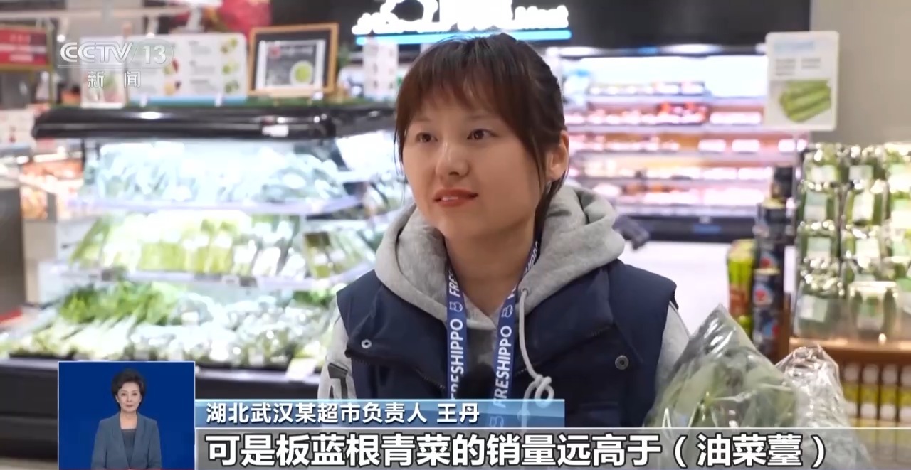 “板蓝根青菜”您吃过吗？它是菜还是药呢？来看揭秘