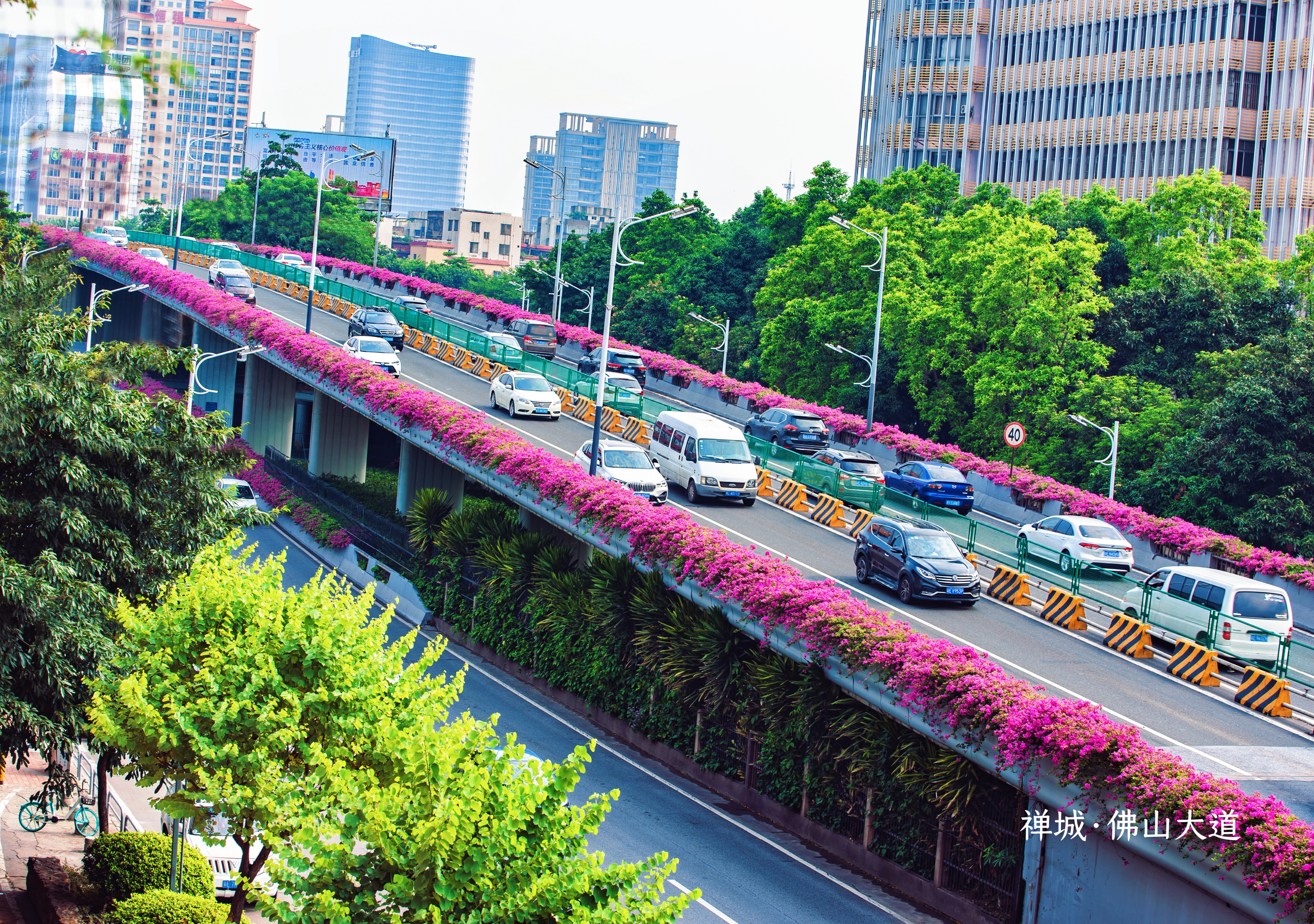 微信图片_20250312111845