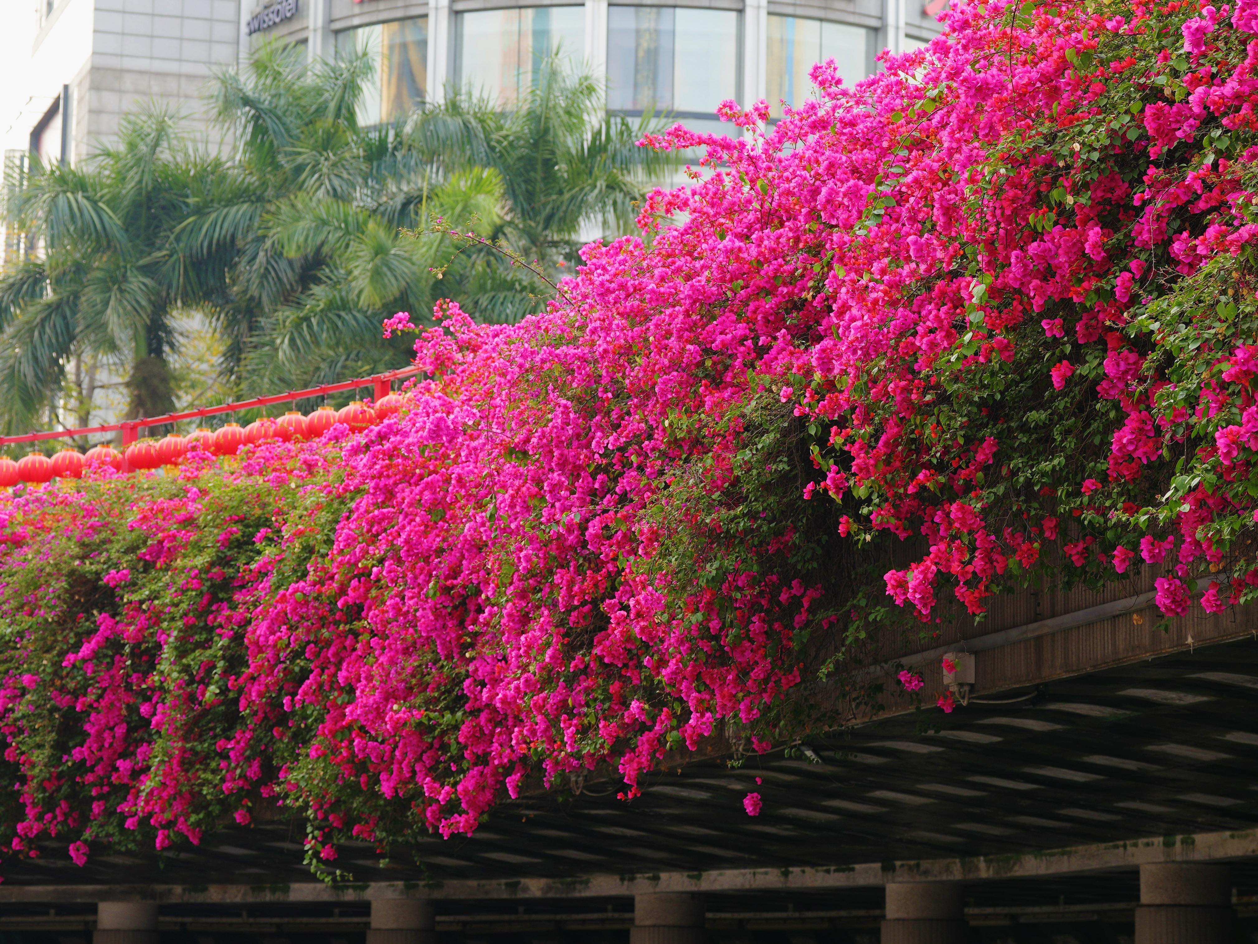 城门头下层广场