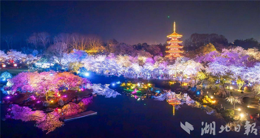 比白天更美！武汉东湖夜樱璀璨引客醉_fororder_微信图片_20250327094846